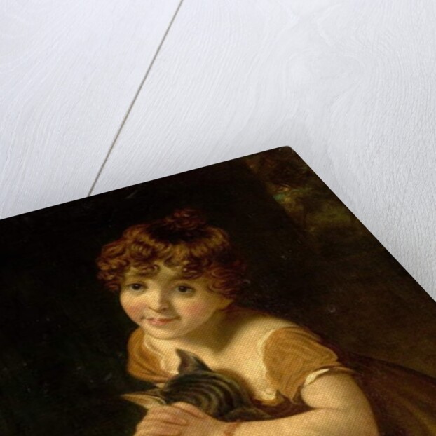 Girl with a Cat by John Opie