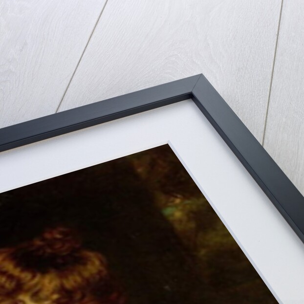 Girl with a Cat by John Opie