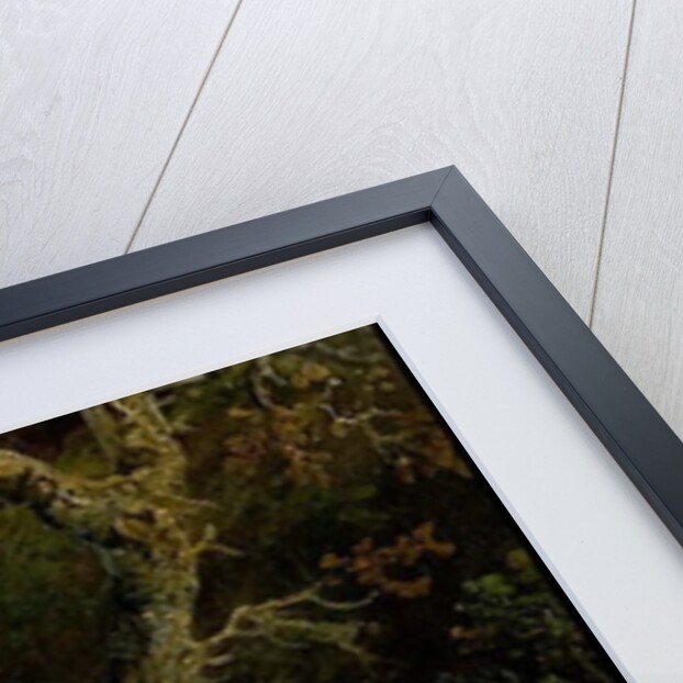 Landscape with Sheep by James Ward