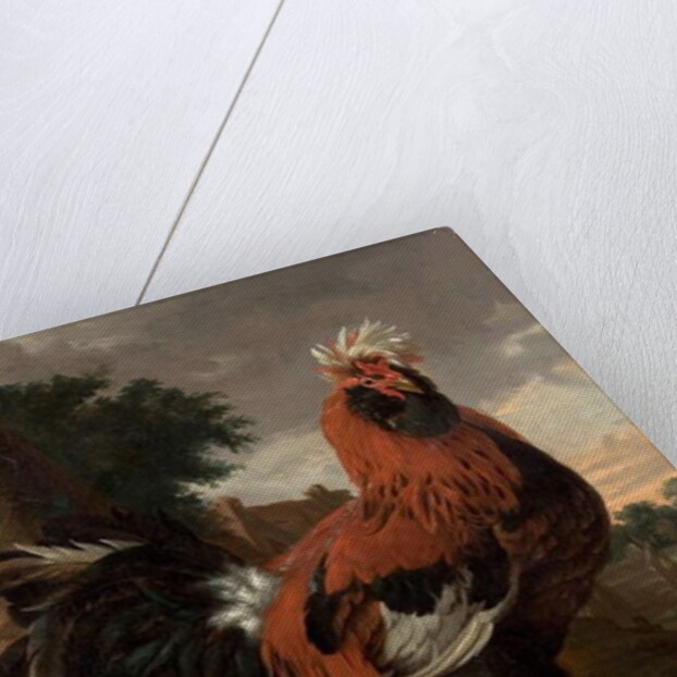 Fowl by Melchior de Hondecoeter