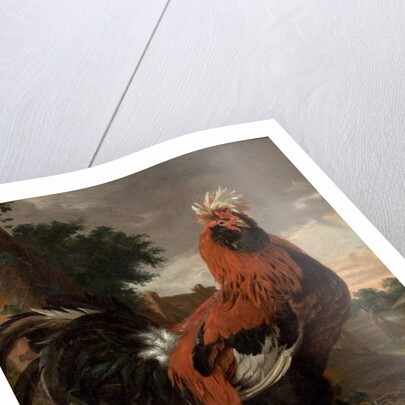 Fowl by Melchior de Hondecoeter