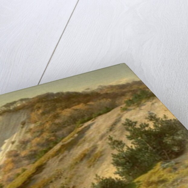 Autumn Views of Mons Cliff, Denmark, 1882 by Hans Fischer