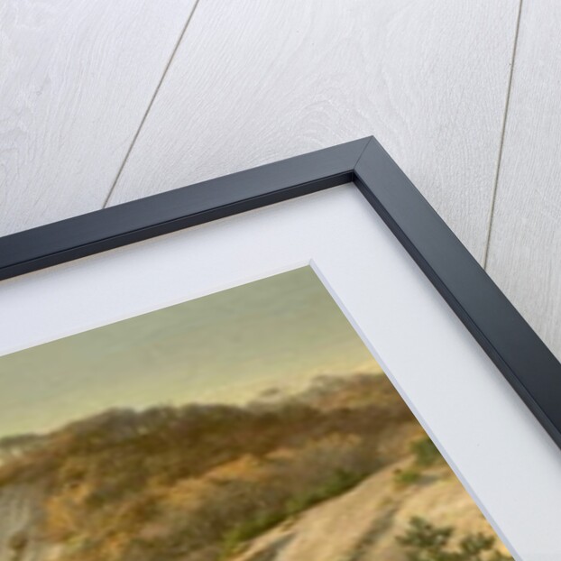 Autumn Views of Mons Cliff, Denmark, 1882 by Hans Fischer