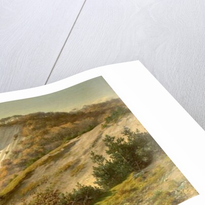 Autumn Views of Mons Cliff, Denmark, 1882 by Hans Fischer