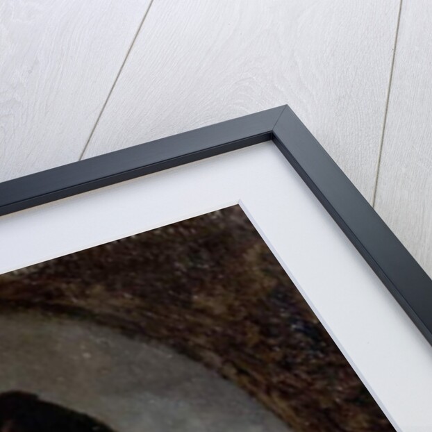 The Doves by William Etty