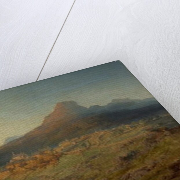 Town and Vale of Ffestiniog, Wales by Edmund John Niemann