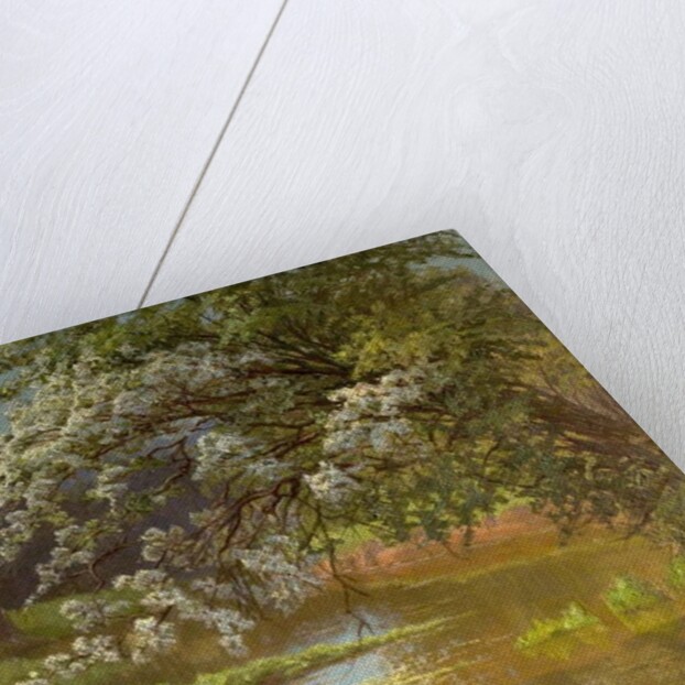 May Blossom, 1910 by Ernest Owen Cooke