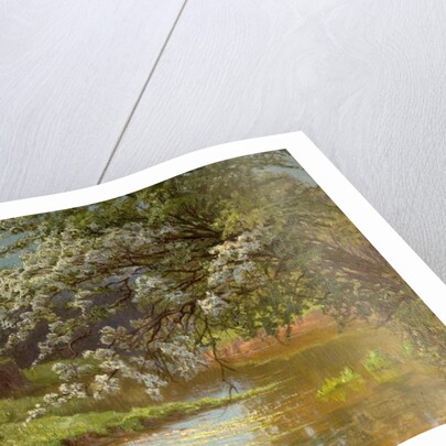 May Blossom, 1910 by Ernest Owen Cooke