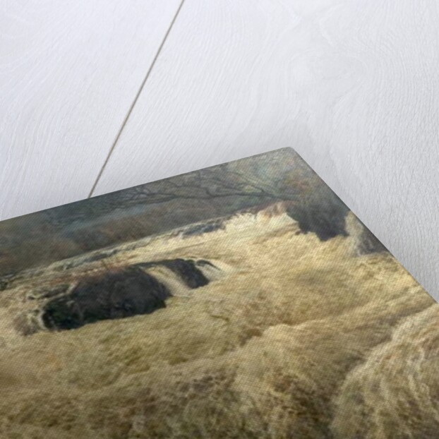 Salmon Leap, Cenarth Falls, Cardiganshire, Wales, 1878 by George Frank Miles