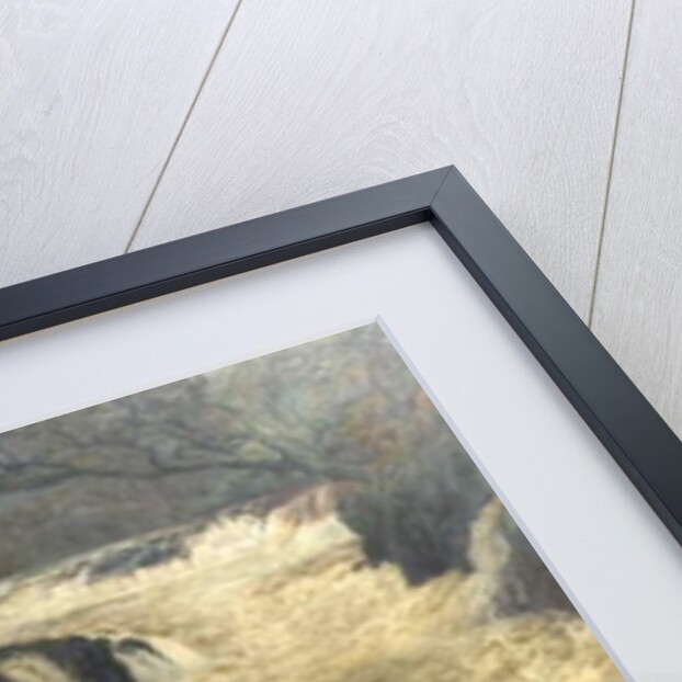 Salmon Leap, Cenarth Falls, Cardiganshire, Wales, 1878 by George Frank Miles