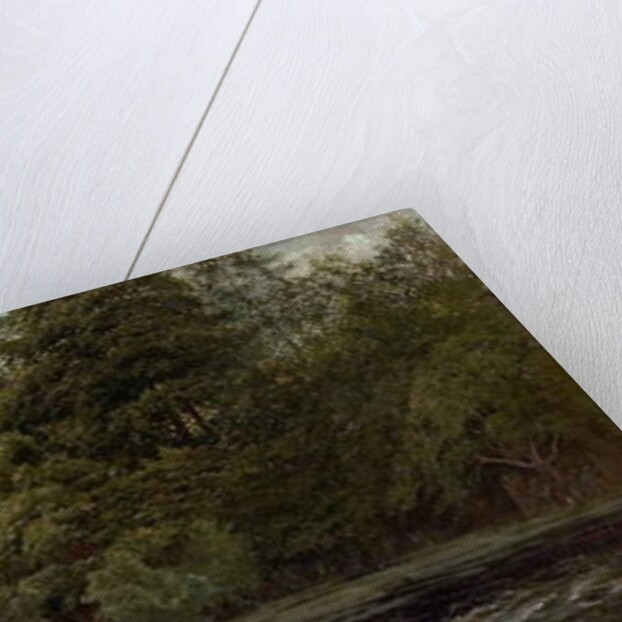 The Salmon Pool, 1880 by Alfred Pizzey Newton