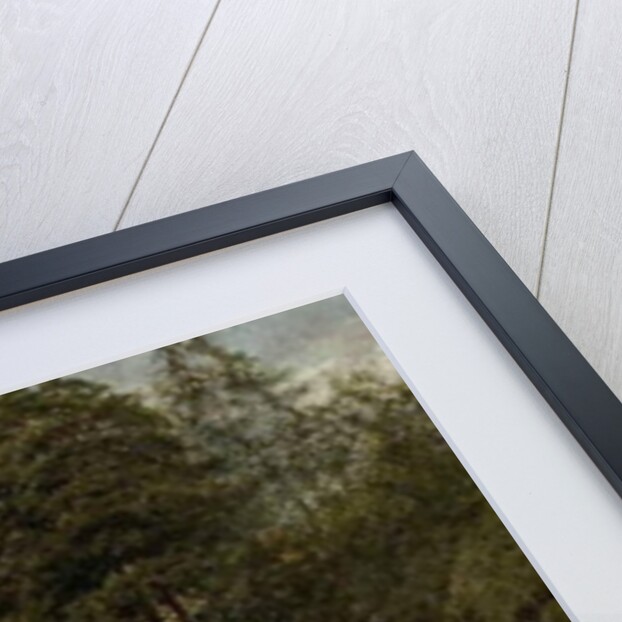 The Salmon Pool, 1880 by Alfred Pizzey Newton