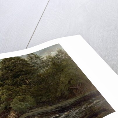 The Salmon Pool, 1880 by Alfred Pizzey Newton