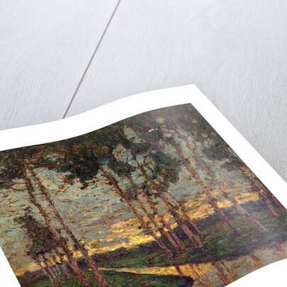 The Dyke, 1921 by William Kiddier