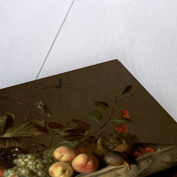 Fruit Piece with Dragonfly, 1692 by Barend or Bernardus van der Meer