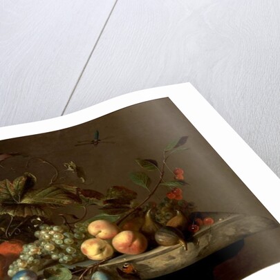 Fruit Piece with Dragonfly, 1692 by Barend or Bernardus van der Meer