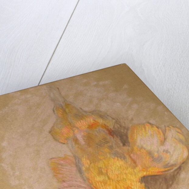 Study of a Fowl for 'Highland Raiders', c.1918 by William Shackleton