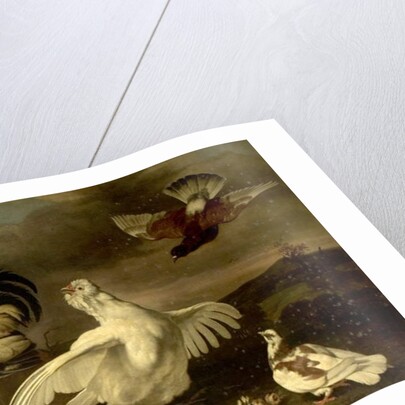 Cock and Hen with Chickens and Pigeons by Johannes Spruyt