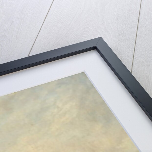 Nottingham Meadows, 1847 by Henry Smyth