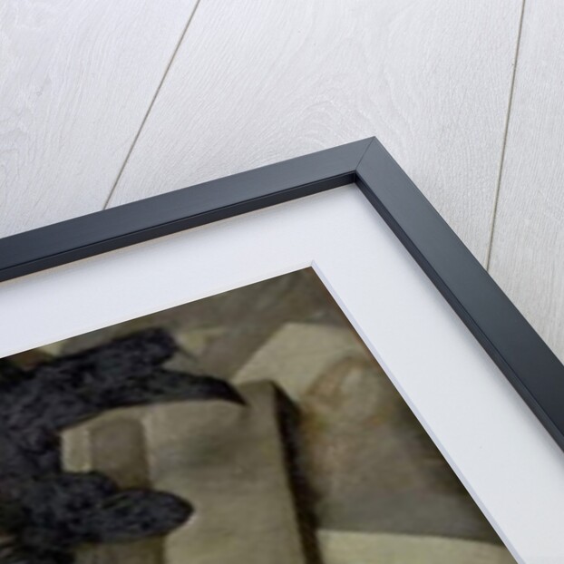 The Black Porcelain Fish by Alan Beeton