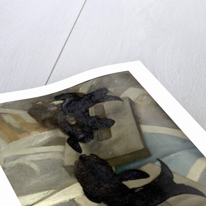 The Black Porcelain Fish by Alan Beeton