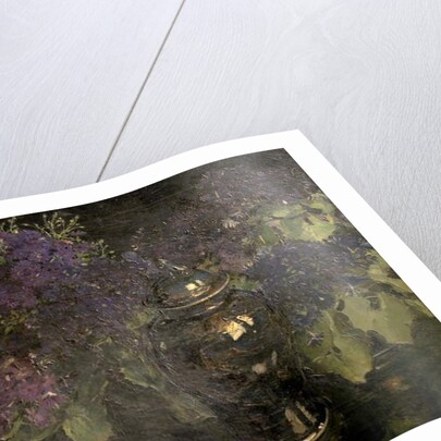 Cinerarias by William Bruce Ellis Ranken