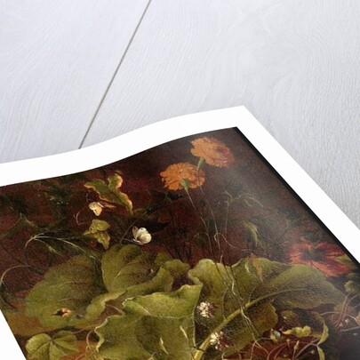 Dock Leaves and Other Flowers, c.1820 by James Sillett