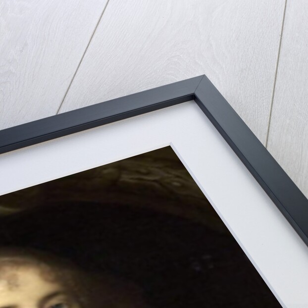 Magdalen Aston, Lady Burdett, 1669 by John Michael Wright