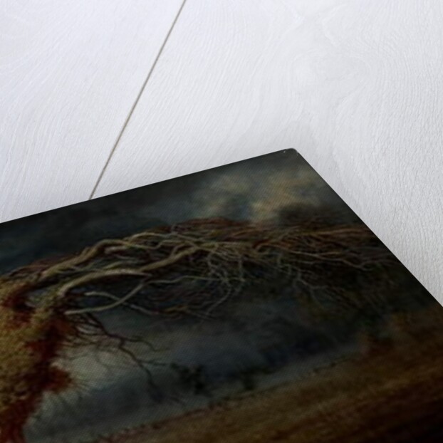 The Blasted Tree by Andrew MacCallum