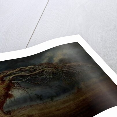 The Blasted Tree by Andrew MacCallum