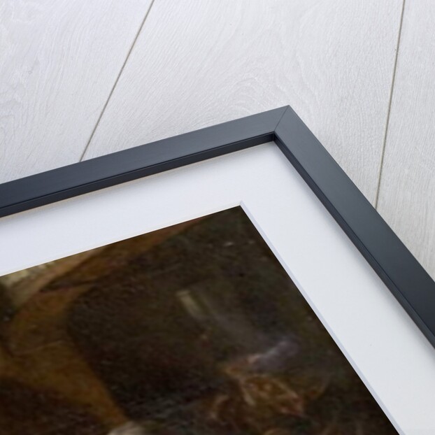 The Origin of the Combing Machine by Alfred W. Elmore