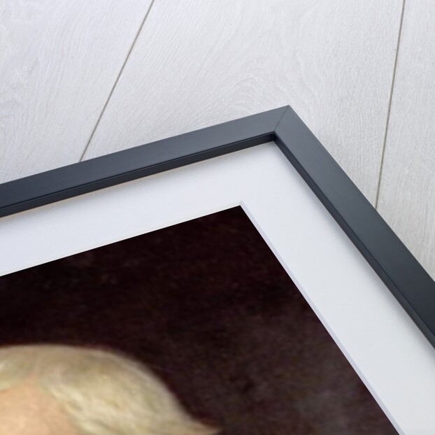 The Right Honourable Robert Lowe by Ethel Mortlock