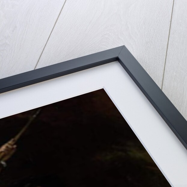 Celadon and Amelia in a Storm, 1840-49 by John Wood