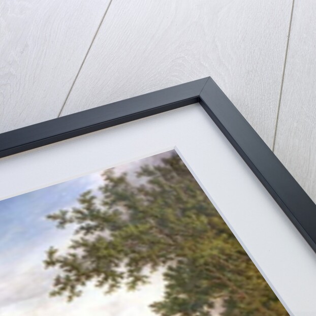 Newstead Abbey, Nottinghamshire by John Bell