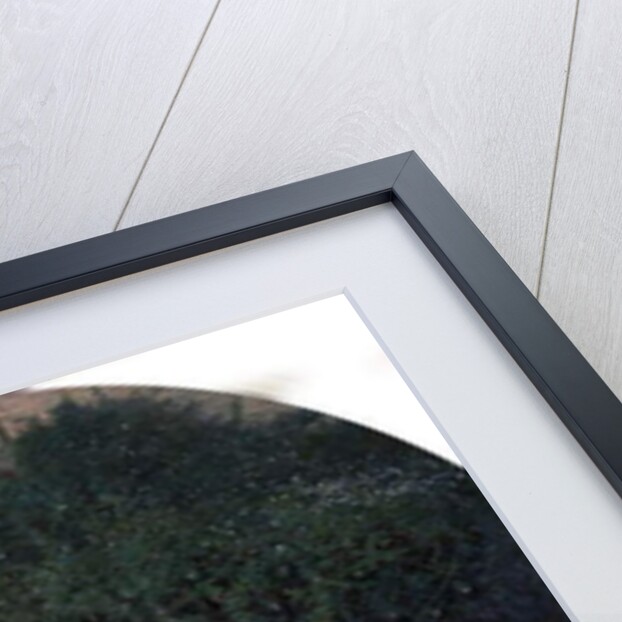 White Horse and Retriever by Alfred Hichens Corbould