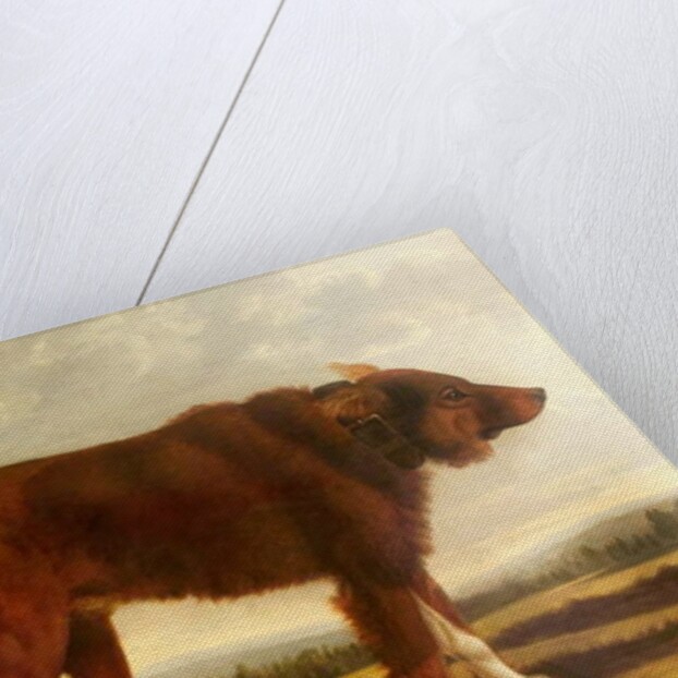 Lord Byron's Dog 'Lyon', 1808 by Clifton Tomson