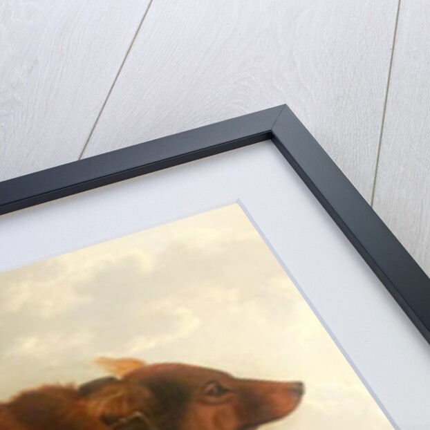 Lord Byron's Dog 'Lyon', 1808 by Clifton Tomson