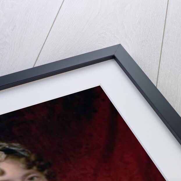 Portrait of a Lady, 1810-54 by James Ramsay