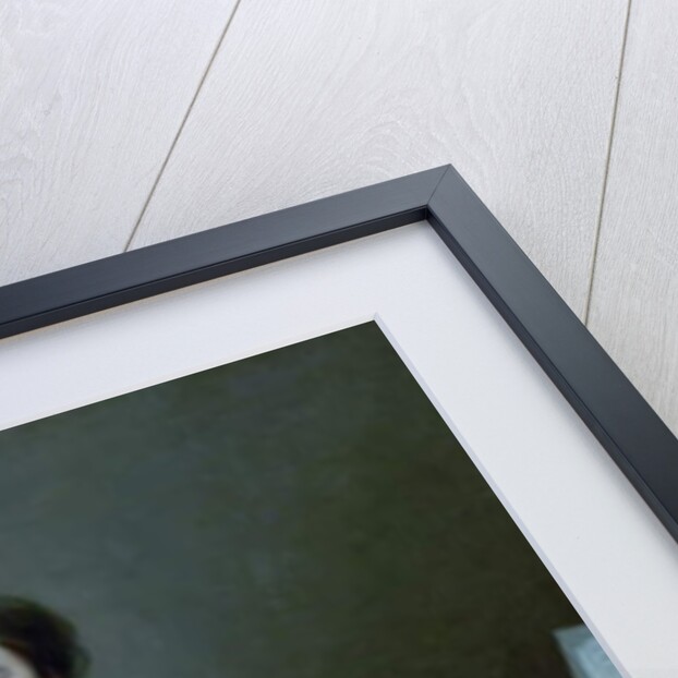 Frances, Lady Byron, Third Wife of the 4th Lord Byron, 1720 by Michael Dahl