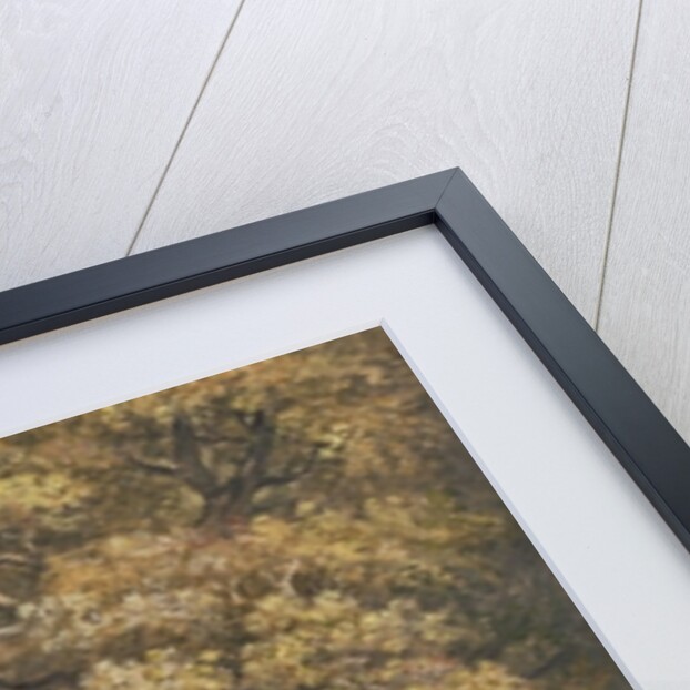 The Rainbow by Paul Sandby