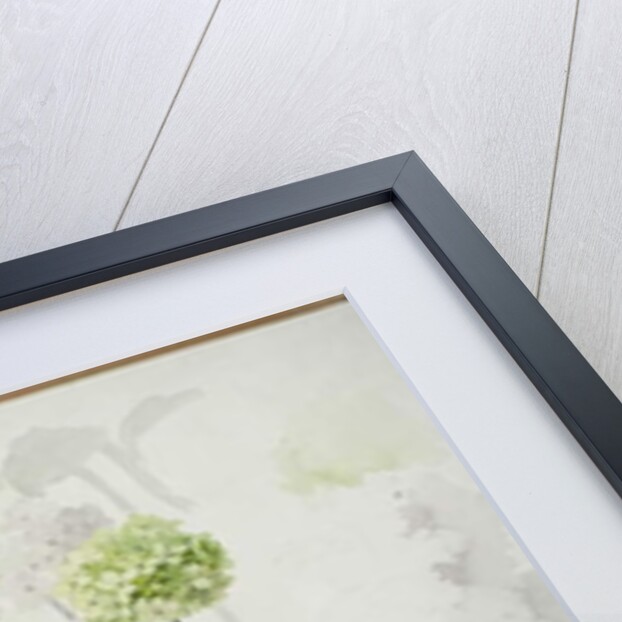 Carpet design by English School