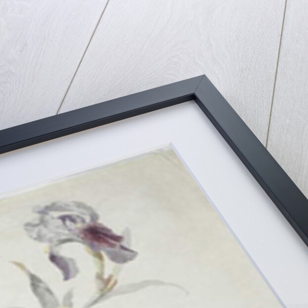 Carpet design by English School