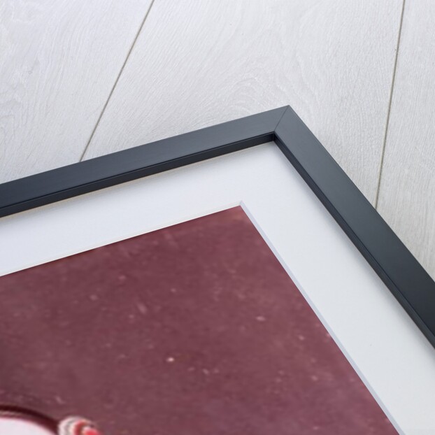 Chinese woman in traditional costume holding a single flower by School Chinese