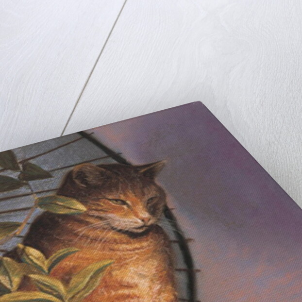 Contemplation by Simon Cook