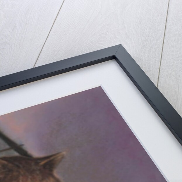 Contemplation by Simon Cook