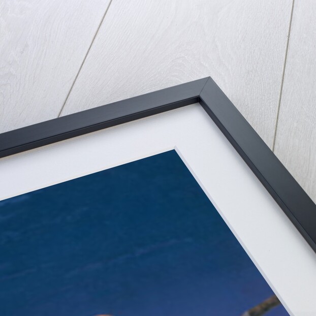 Barn Owl by Simon Cook