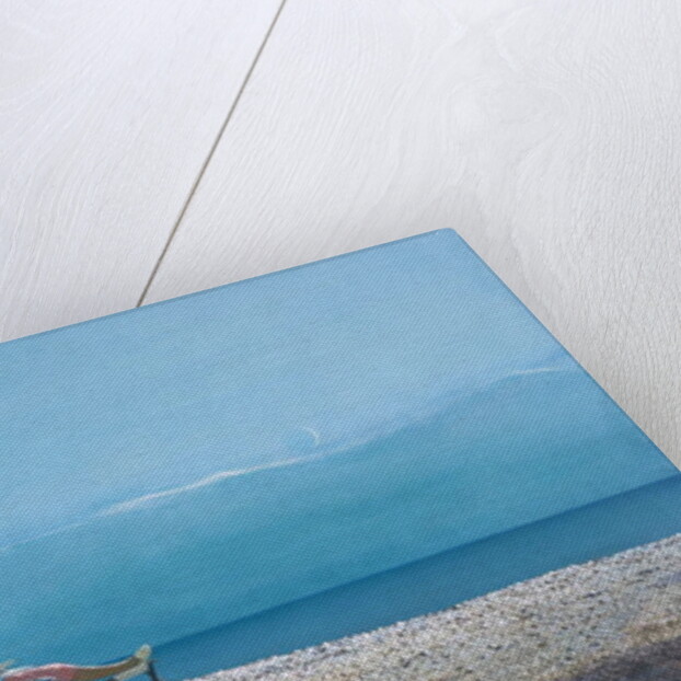 Repose by Simon Cook