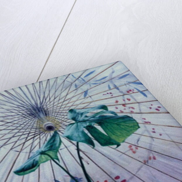 Chinese Umbrella by Simon Cook
