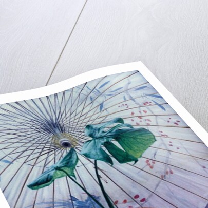 Chinese Umbrella by Simon Cook