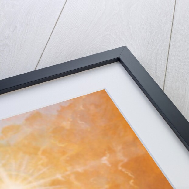 Radiance by Simon Cook